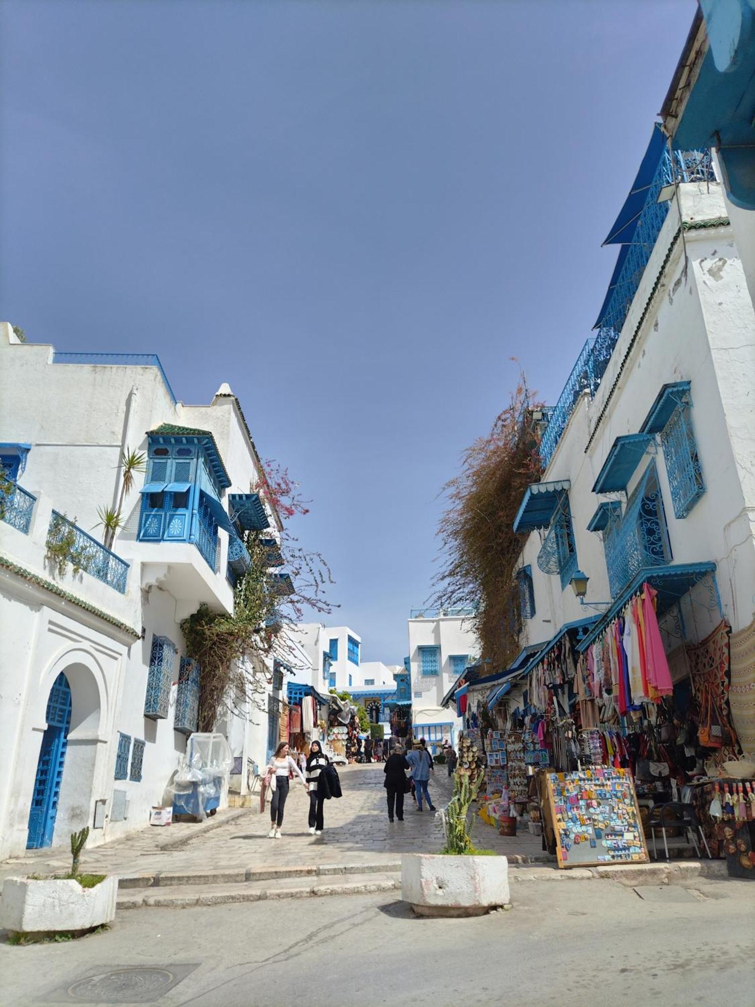 Marsa - Sidi Bousaid Lovely Authentic Apartment 拉马萨 外观 照片