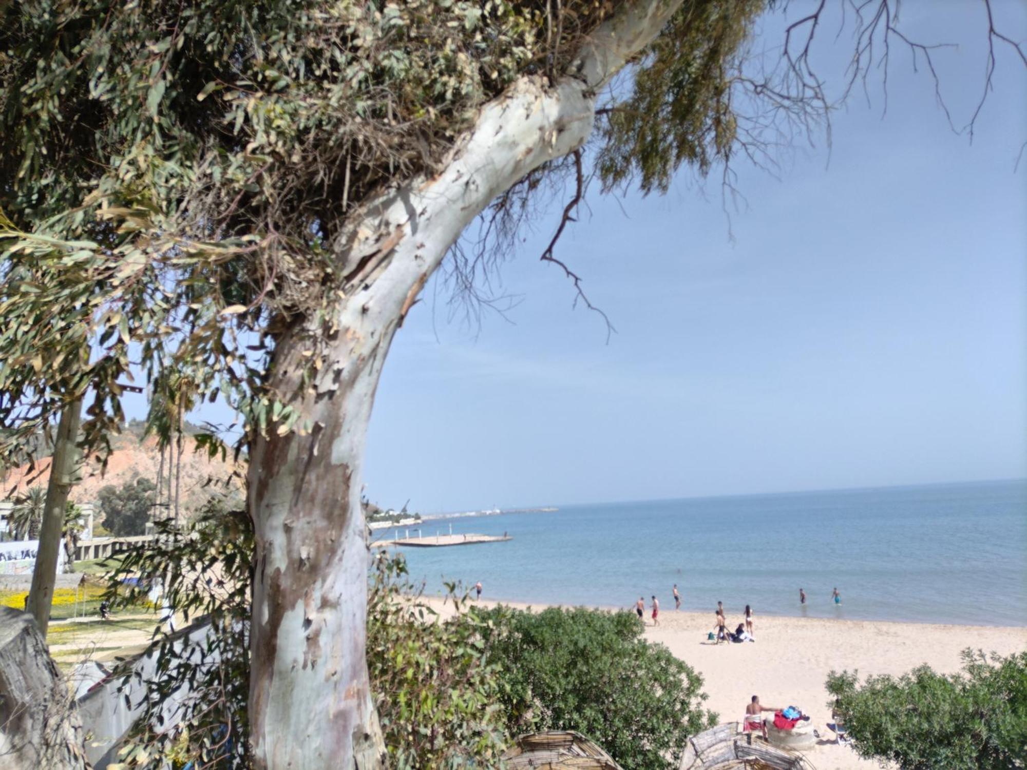 Marsa - Sidi Bousaid Lovely Authentic Apartment 拉马萨 外观 照片